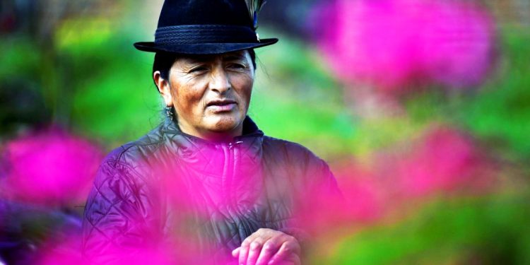 MARCELO COLUSSI. Carta de una indígena latinoamericana (Docuficción)