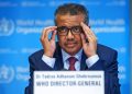 JON ANDER ETXEBARRIA. Sr. Director General de la OMS, kanpora, mesedez