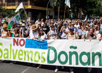 Protestas en las calles de Sevilla por el intento de la derecha de destruir Doñana