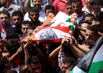 PALESTINA. El silencio de la «Comunidad internacional» sobre el genocidio israelí la convierte en cómplices
