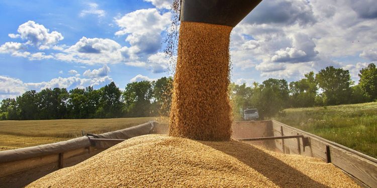 RUSIA. Putin denuncia que sólo el 3% del grano ucraniano es destinado a los países más pobres