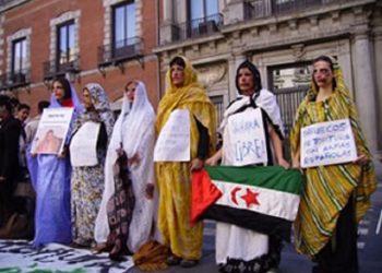 Carta abierta al ministro de Asuntos Exteriores de España sobre la situación en el Sahara occidental