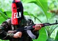 COLOMBIA. EL ELN y el gobierno acuerdan un cese el fuego bilateral