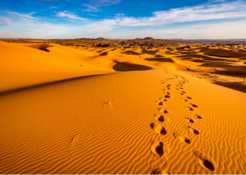 EDITORIAL ¿Dónde están los festejos?