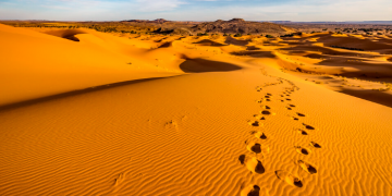EDITORIAL ¿Dónde están los festejos?