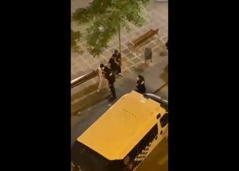 Estos policías tuvieron la desgracia de ser grabados; no hay problema: quedaron en libertad