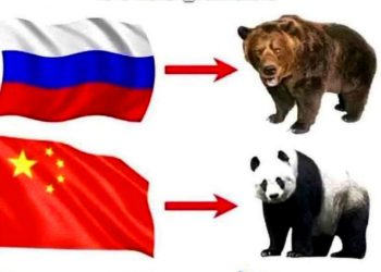 Animales nacionales de tres países (pasen y conozcan el del tercero de ellos)