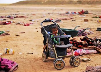 KOLITZA. No hay ninguna ética en la lógica capitalista del negocio y la supervivencia