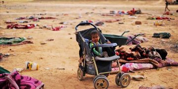 KOLITZA. No hay ninguna ética en la lógica capitalista del negocio y la supervivencia