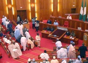 Los senadores de los estados del norte de Nigeria dijeron NO a la intervención militar en Níger