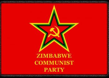PARTIDO COMUNISTA DE ZIMBAUE. Solidaridad con el pueblo y el gobierno de Níger