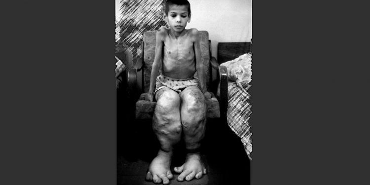 MARÍA ZAJAROVA. Tierra viva y tierra muerta