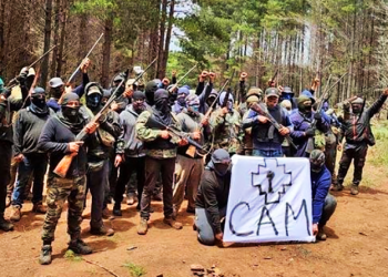 La CAM se dirige a la Nación Mapuche y a la opinión pública en general