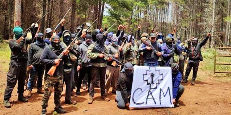 La CAM se dirige a la Nación Mapuche y a la opinión pública en general