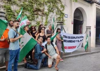 Modelos de la Universidad de Sevilla