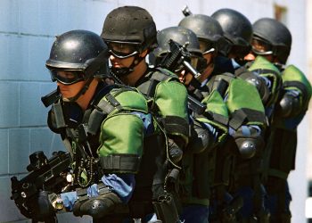 Anarquistas, antifascistas y ahora ecologistas en el catálogo de «terroristas» para la Fiscalía General del Estado