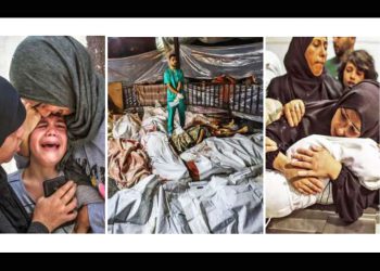 KOLITZA. Estamos gobernados por nazis sedientos de oportunidades de negocio