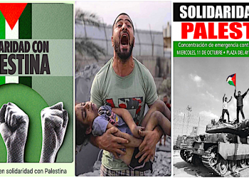 🇵🇸 Algunas de las movilizaciones convocadas en solidaridad con Palestina (Día, lugar y hora)