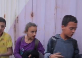 PALESTINA. Un video de tres minutos que resume lo que ocurre en Gaza en este momento