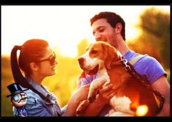 Se llama ONU (+ vídeo y texto relacionados)