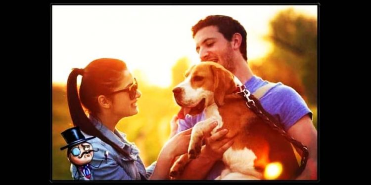 Se llama ONU (+ vídeo y texto relacionados)