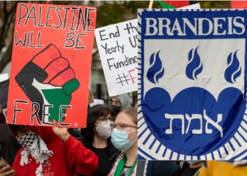 Detenidos en EE.UU decenas de estudiantes por pedir el fin de los bombardeos sionistas