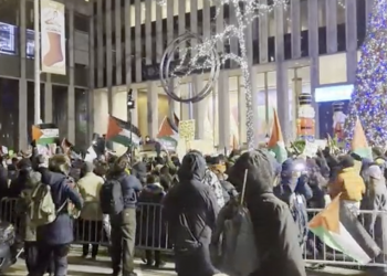 EEUU. No cesan los actos de apoyo a Palestina