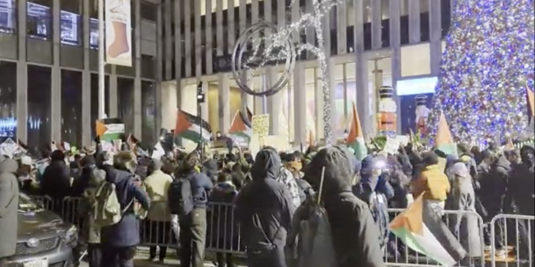 EEUU. No cesan los actos de apoyo a Palestina