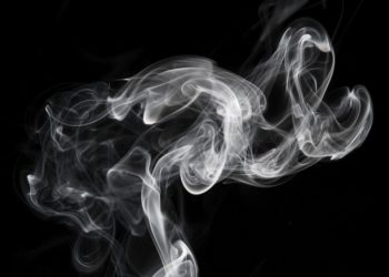 EL LINCE. Vender humo