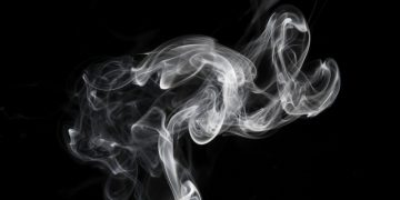 EL LINCE. Vender humo