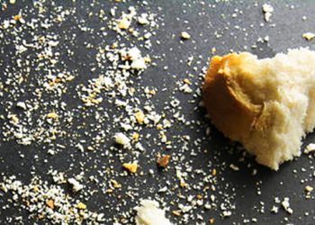 MARTINA PASCUAL. El PSOE y sus enanitos: IU, Podemos, Más Madrid, Sumar…