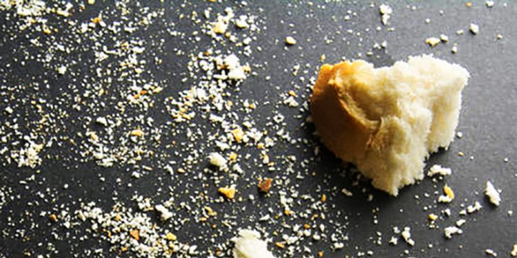 MARTINA PASCUAL. El PSOE y sus enanitos: IU, Podemos, Más Madrid, Sumar…