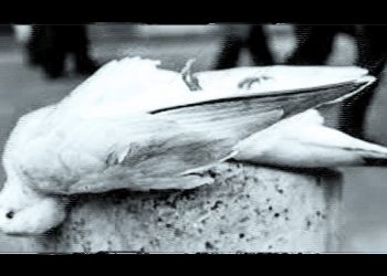 PACO AZANZA TELLETXIKI. Paz y guerra / Bakea eta gerra