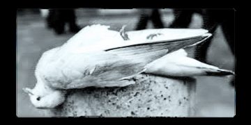 PACO AZANZA TELLETXIKI. Paz y guerra / Bakea eta gerra