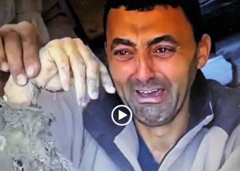 PALESTINA. Imágenes fuertes provocadas por el asesino Estado sionista (vídeos)