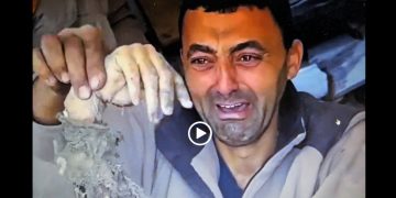 PALESTINA. Imágenes fuertes provocadas por el asesino Estado sionista (vídeos)