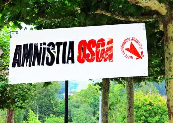 VARIOS PRESOS POLÍTICOS VASCOS. Acerca de la amnistía parcial del gobierno