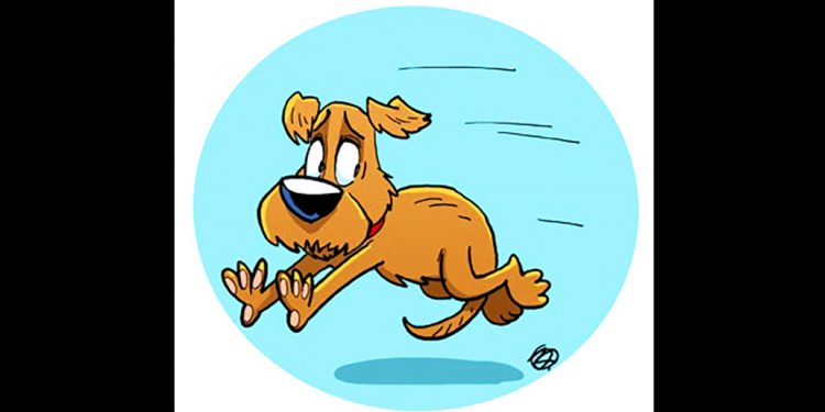 EL LINCE. Con el rabo entre las piernas