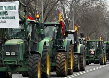 ANDRÉS PIQUERAS. ¿Qué pasa con el campo?