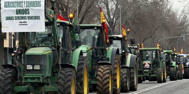 ANDRÉS PIQUERAS. ¿Qué pasa con el campo?