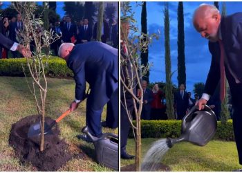 Espectáculo grotesco (pasen y lean): Lula plantó un árbol “por la paz del pueblo palestino”