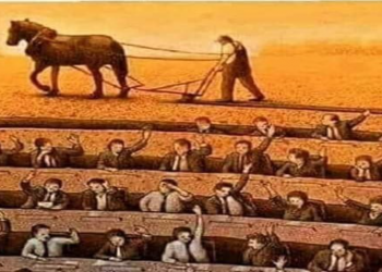 JOAQUIN LUCENA: Puertas al campo.