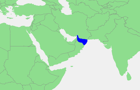 El «eje del mal» en acción: Rusia, China e Irán inician maniobras marítimas conjuntas