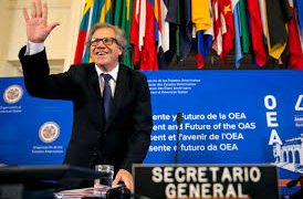 La OEA hizo público un Comunicado nauseabundo; pasen y lean