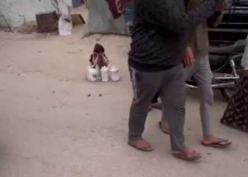 PALESTINA. Una niña huérfana pidiendo agua potable