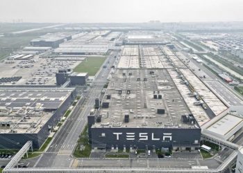 Qué se le va a hacer: China tiene mucha te(s)la