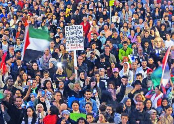 PALESTINAREKIN ELKARTASUNA. No a las falsas soluciones: Palestina libre, combatamos a Israel