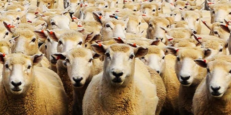 Ejemplo de cómo actúan los políticos institucionales (pasen y vean)