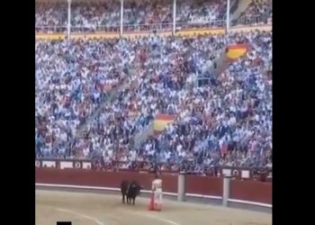 Otro ejemplo de que la extrema derecha está envalentonada hasta en las corridas