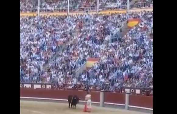 Otro ejemplo de que la extrema derecha está envalentonada hasta en las corridas